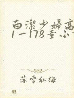 白洁少妇高义第1一178章小说封面