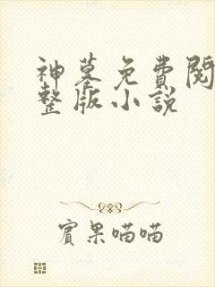 神墓免费阅读完整版小说