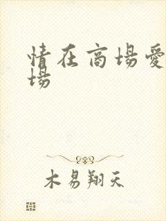 情在商场爱在官场封面