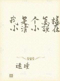 我是个怎样女孩小清小说在线阅读