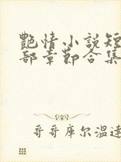 艳情小说短篇全部章节合集免费阅读