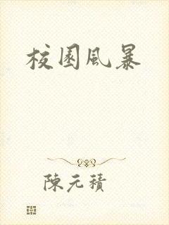 校园风暴封面