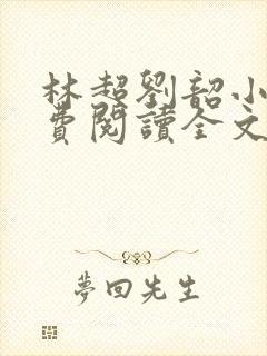 林超刘韶小说免费阅读全文最新章节封面