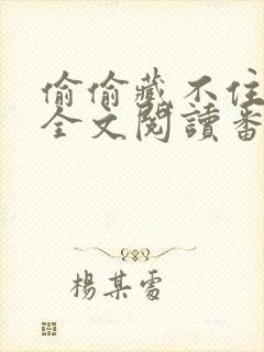 偷偷藏不住小说全文阅读番外封面