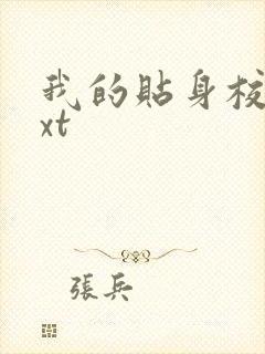 我的贴身校花txt封面