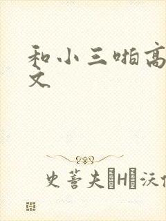 和小三啪高辣h文封面
