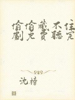 偷偷藏不住广播剧免费听完整版