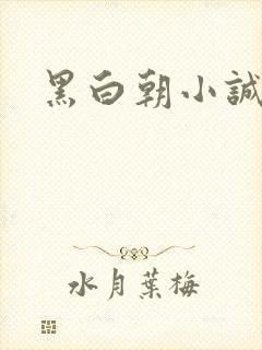 黑白朝小诚
