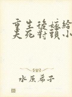 重生后嫁给了前夫死对头小说在线看