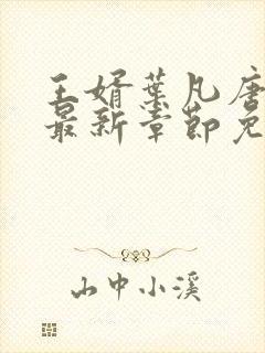 王婿叶凡唐若雪最新章节免费全文阅读