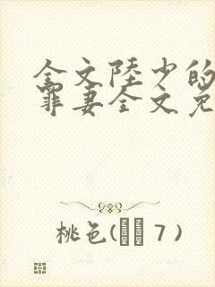 全文陆少的隐婚罪妻全文免费阅读封面
