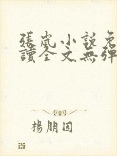 张岚小说免费阅读全文无弹窗封面