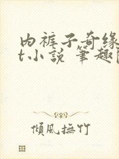 内裤子奇缘txt小说 笔趣阁封面