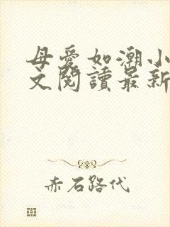 母爱如潮小说全文阅读最新章节更新