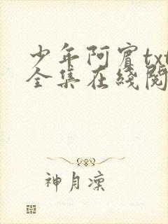 少年阿宾txt全集在线阅读