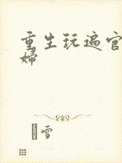 重生玩遍官场贵妇