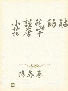 小说我的贴身校花唐宇