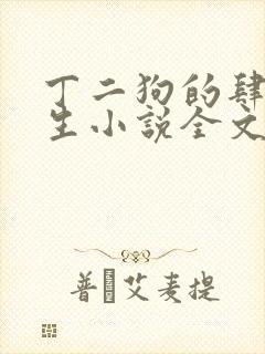 丁二狗的肆意人生小说全文免费阅读笔趣阁