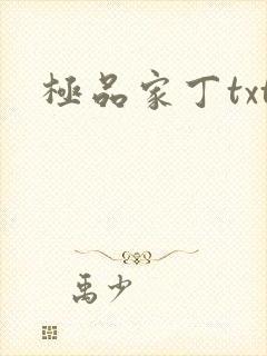 极品家丁txt