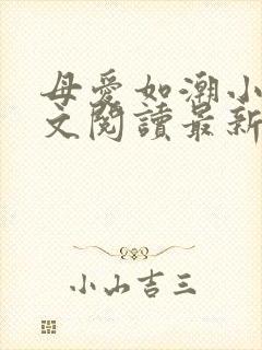 母爱如潮小说全文阅读最新章节更新