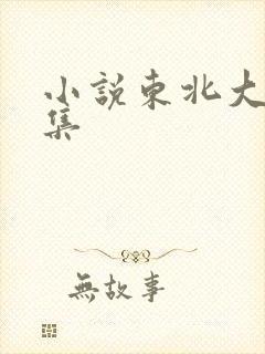 小说东北大炕全集封面