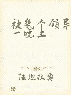 被几个领导玩弄一晚上封面