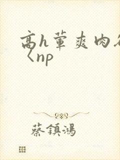 高h荤爽肉欲文〈np