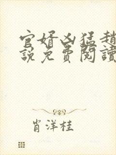 官婿凶猛赵阳小说免费阅读全文