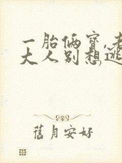 一胎俩宝,老婆大人别想逃1893
