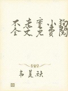 不老实小狗沈渡全文免费阅读最新章