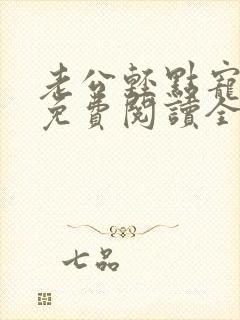 老公轻点宠全文免费阅读全文封面