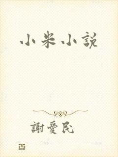 小米小说