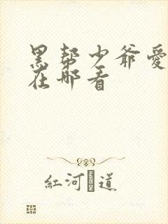 黑帮少爷爱上我在哪看封面