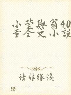 小莹与翁400章全文小说