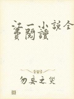 江一小说全文免费阅读