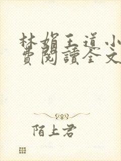 林娟王道小说免费阅读全文