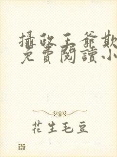 摄政王爷欺上门免费阅读小说真是个怪封面