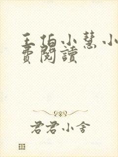 王伯小慧小说免费阅读封面