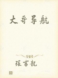 大哥导航
