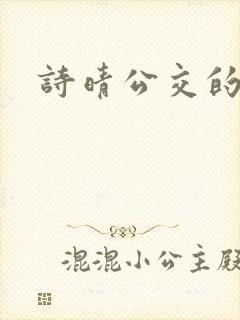 诗晴公交的小说封面