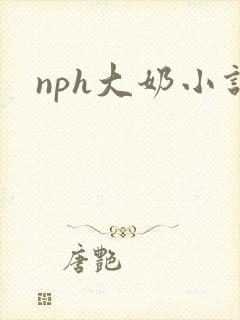 nph大奶小说封面