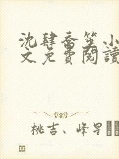 沈肆乔笙小说全文免费阅读
