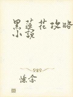黑莲花攻略手册小说