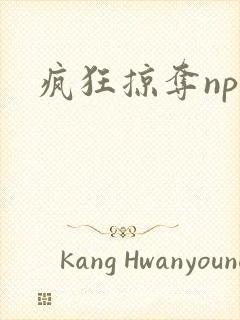 疯狂掠夺npc