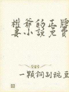 权爷的正牌小娇妻小说免费阅读封面