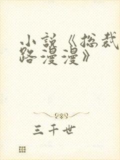 小说《总裁追妻路漫漫》