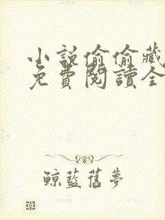 小说偷偷藏不住免费阅读全文封面