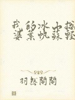 我的冰山总裁老婆叶帆苏轻雪