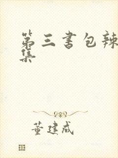第三书包辣文合集