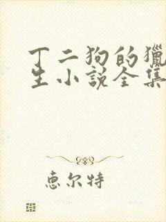 丁二狗的猎艳人生小说全集免费阅读无删减
